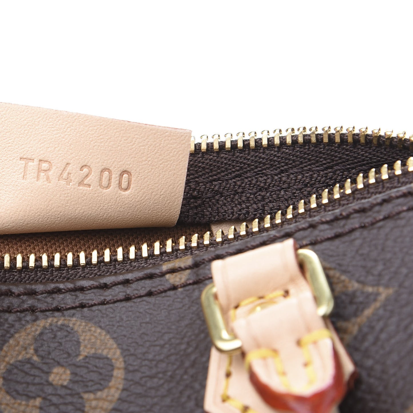 Monogram Nano Speedy