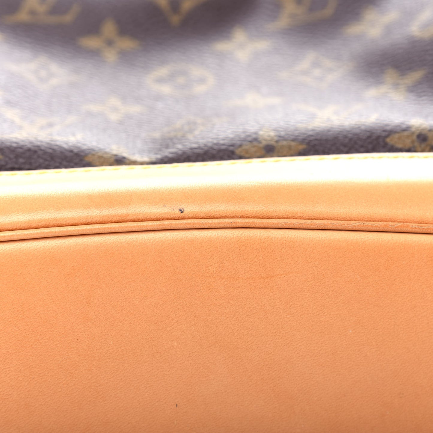 Monogram Montsouris GM Backpack