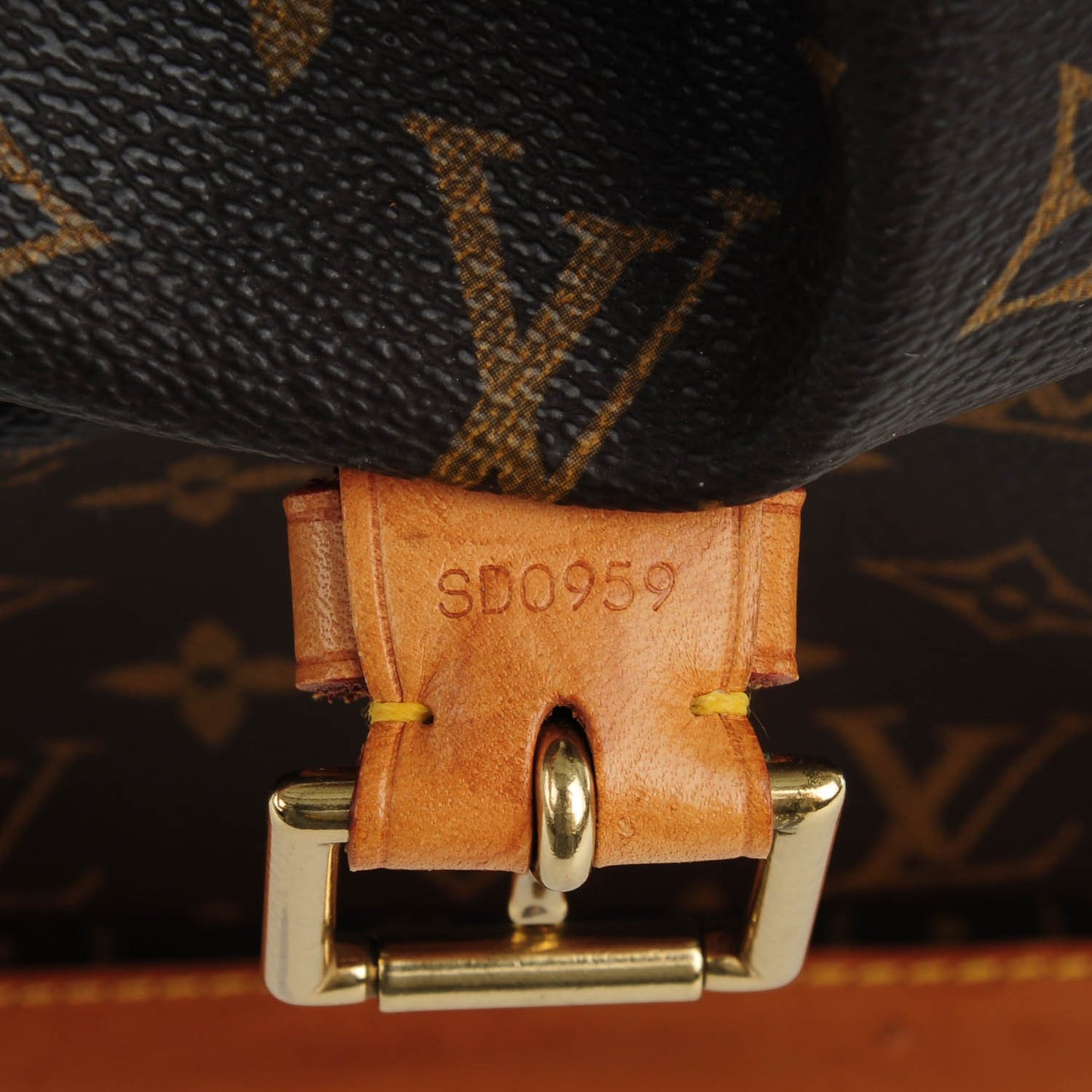 Monogram Montsouris GM Backpack