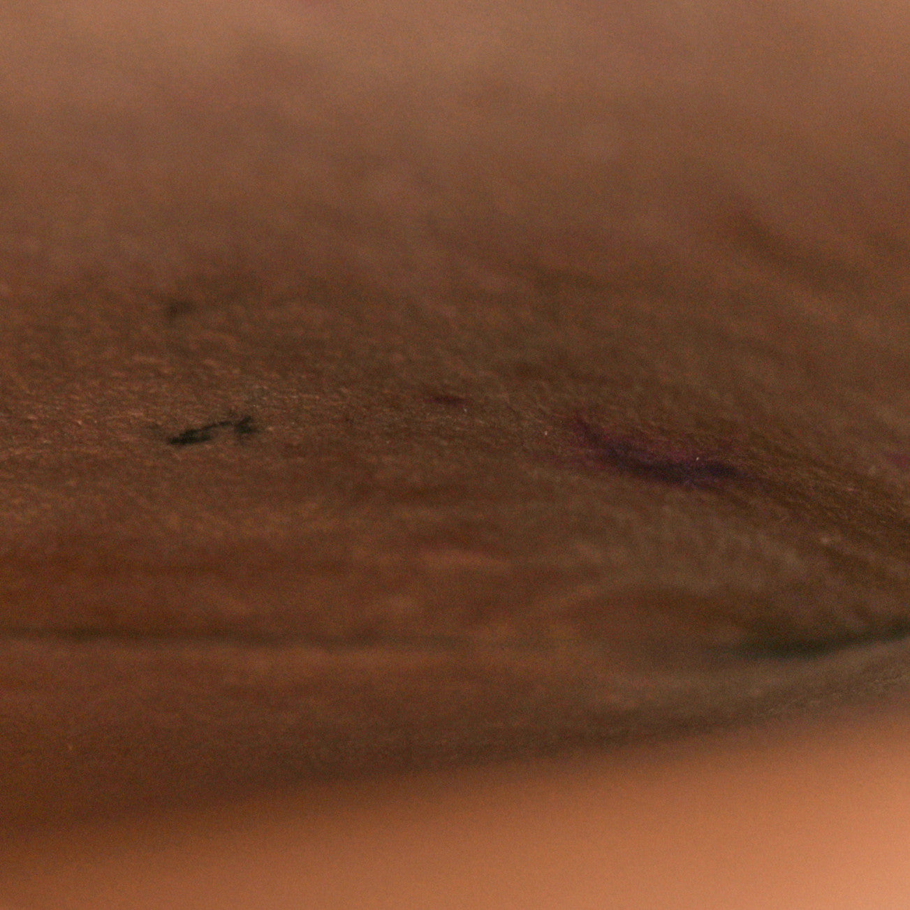 Damier Ebene Kensington