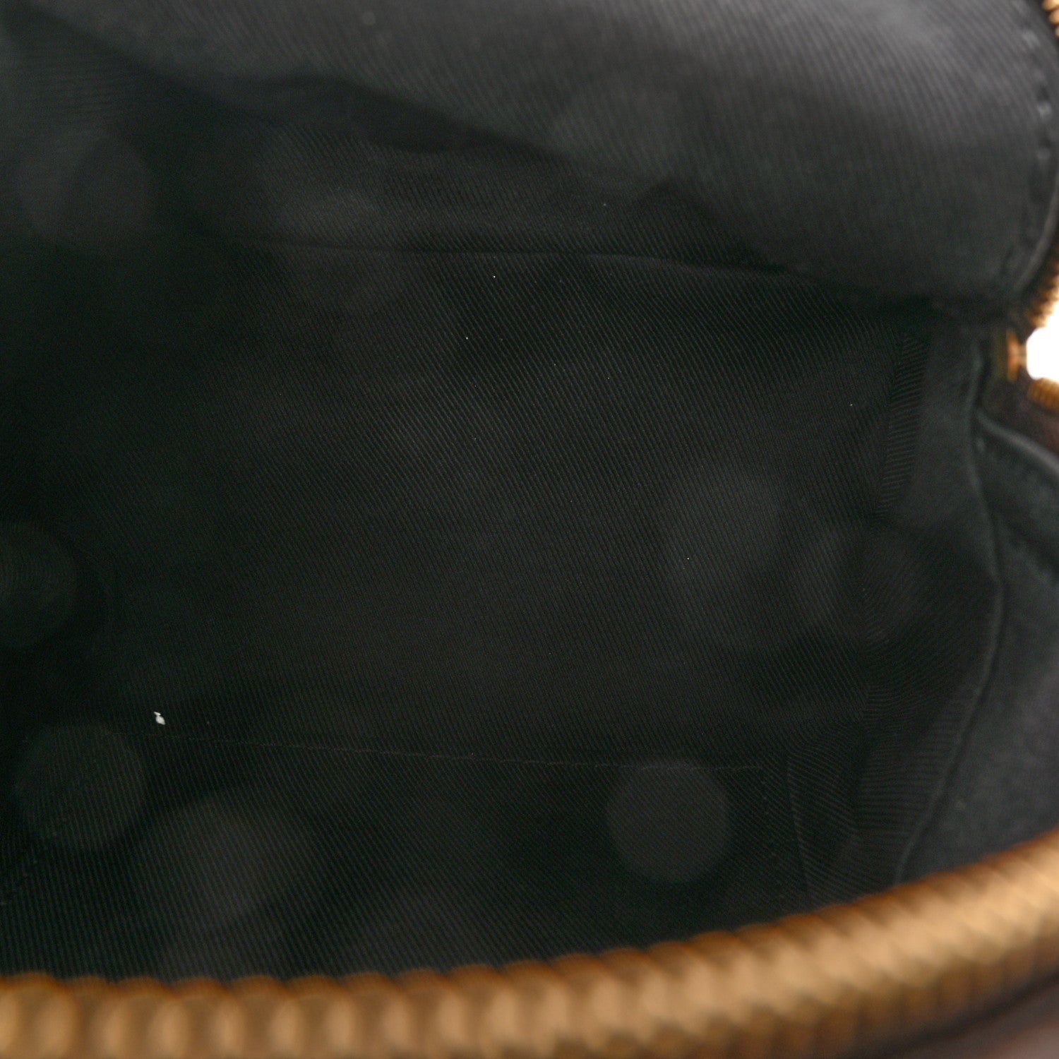 Louis Vuitton Monogram Palm Springs Backpack Mini 5 of 11