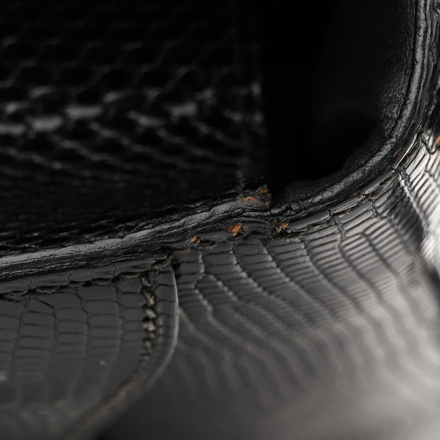 Lizard Constance 24 Black