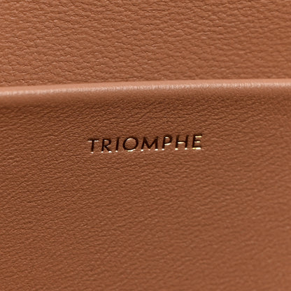 Celine Shiny Calfskin Triomphe Chain Bag Desert Rose 8 of 11