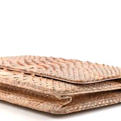 Chanel Metallic Snakeskin Wallet On Chain WOC Ivory Gold 10 of 14