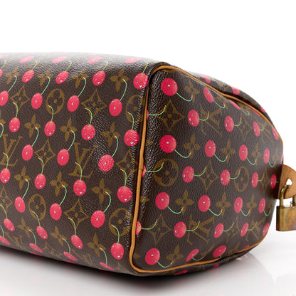 Louis Vuitton Monogram Cerises Speedy 25 12 of 12
