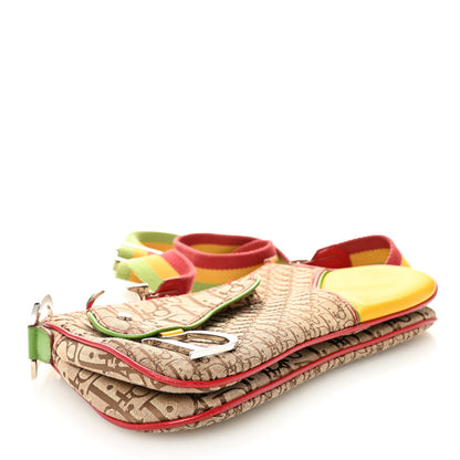Christian Dior Monogram Rasta Double Saddle Beige Saddle Beige 4 of 11