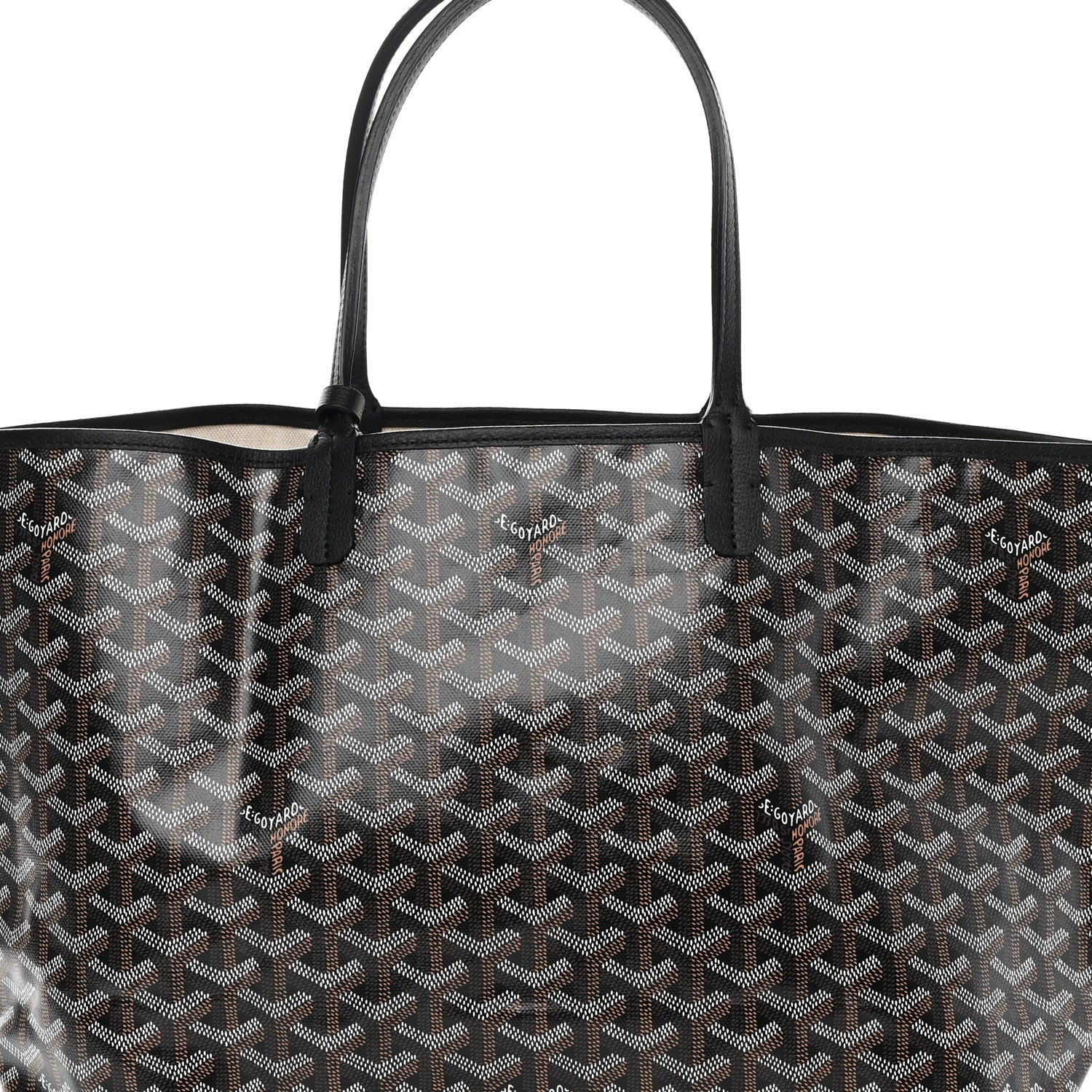 Goyard Goyardine Saint Louis PM Black 9 of 13