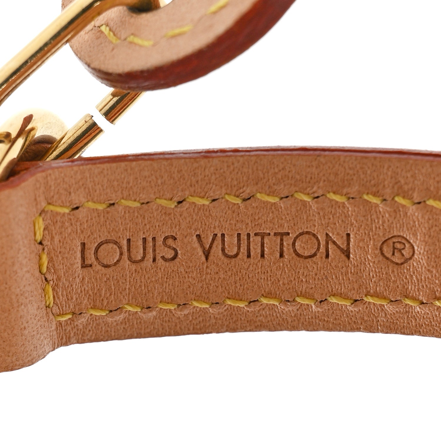 Louis Vuitton Monogram Baxter Dog Collar PM 5 of 6