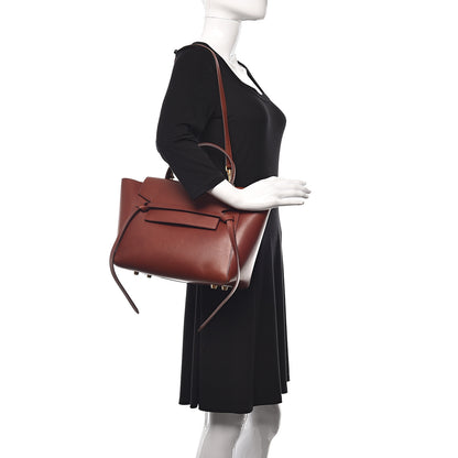 Celine Natural Calfskin Mini Belt Bag Teck 2 of 13