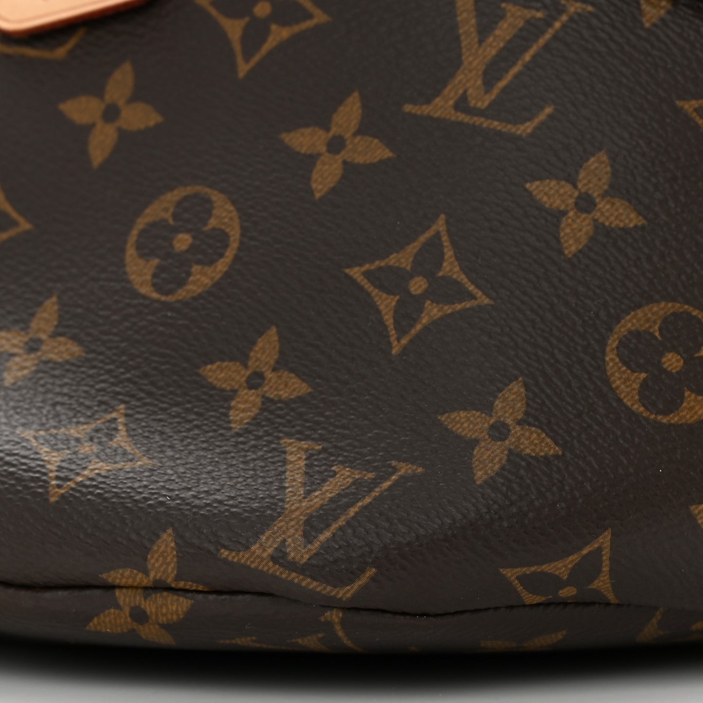 Monogram Bumbag