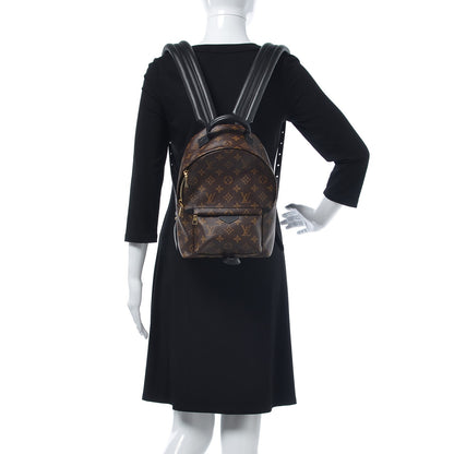 Louis Vuitton Monogram Palm Springs Backpack PM 2 of 6