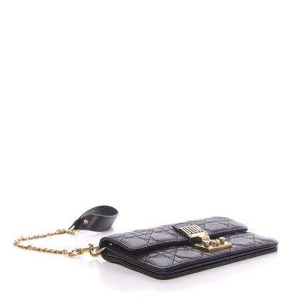 Christian Dior Lambskin Daddi Pouch Black 4 of 12