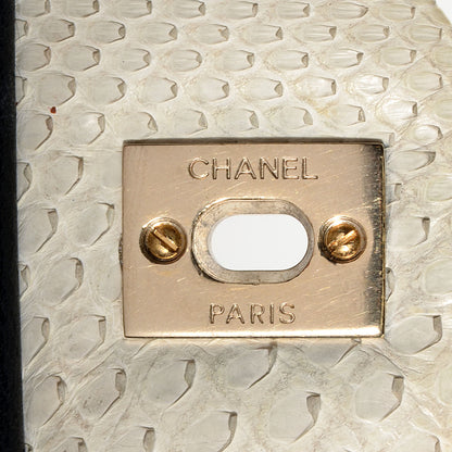 Chanel Python Tri-Color Medium Graphic Flap Beige 9 of 9