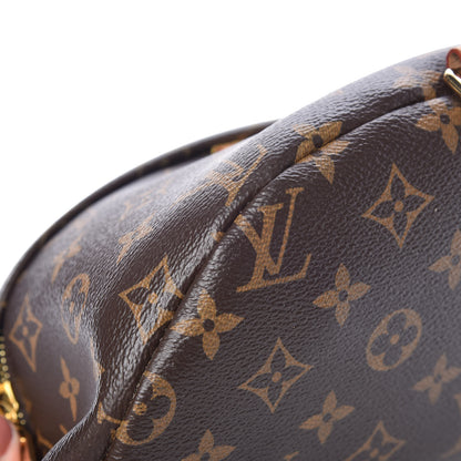 Louis Vuitton Monogram Bumbag 10 of 13