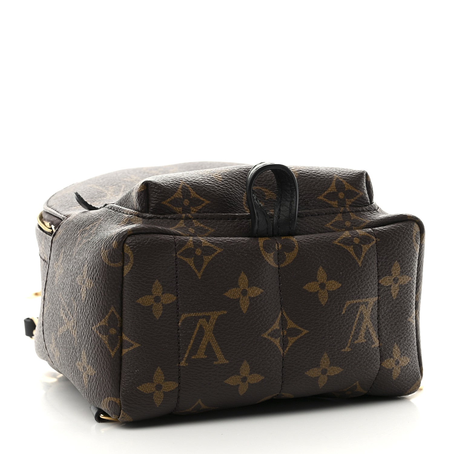 Louis Vuitton Monogram Palm Springs Backpack Mini 5 of 15