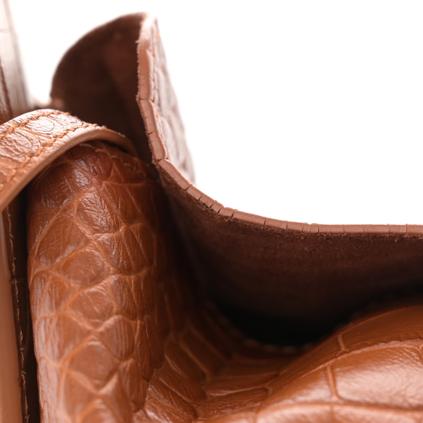 Extra Supple Calfskin Crocodile Embossed Small Tool 2.0 North-South Tote Camel