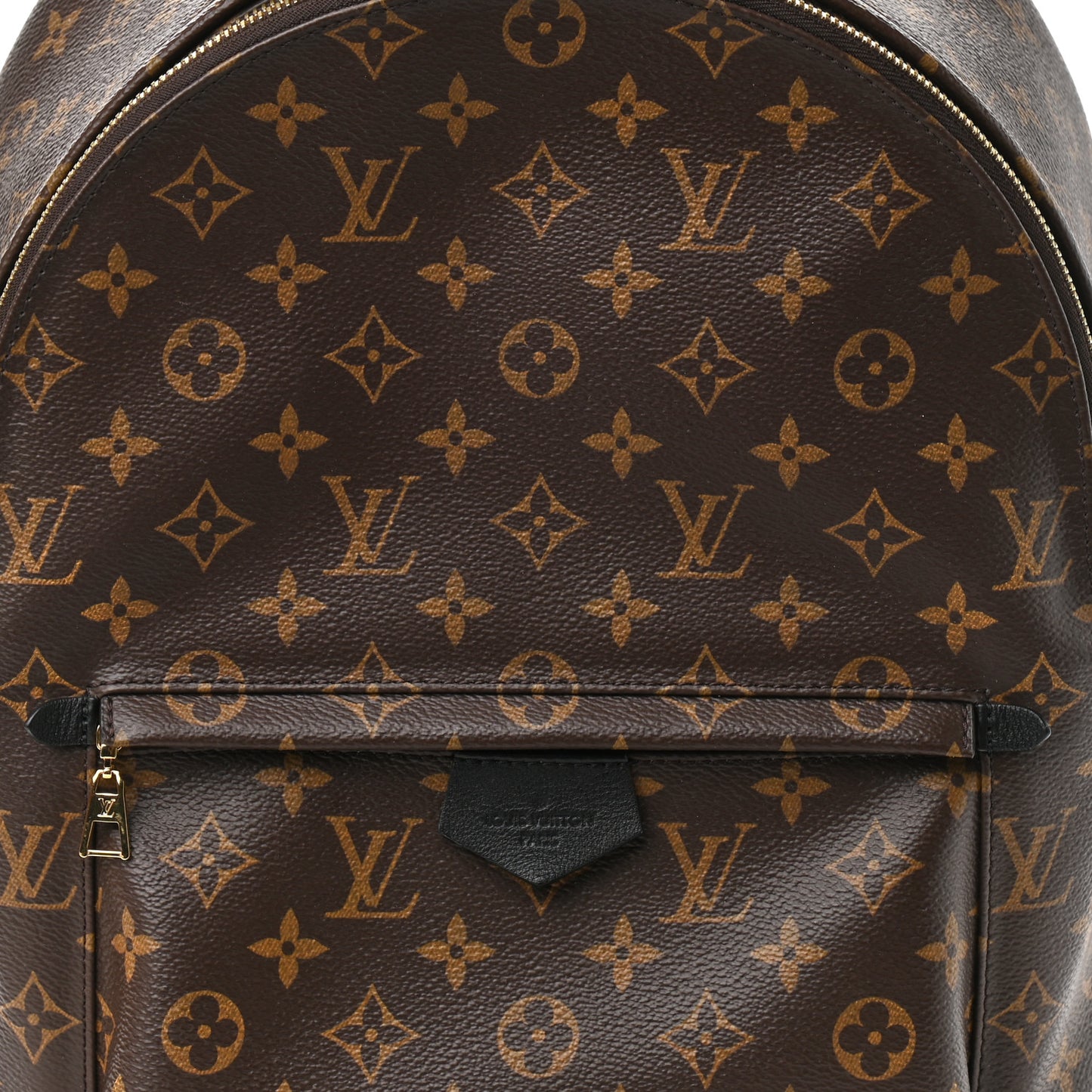 Monogram Palm Springs Backpack MM
