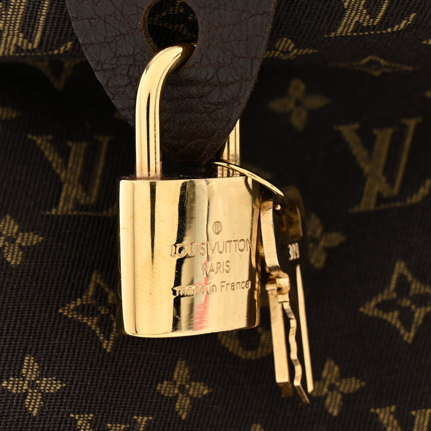 Louis Vuitton Mini Lin Speedy 30 Ebene 7 of 10