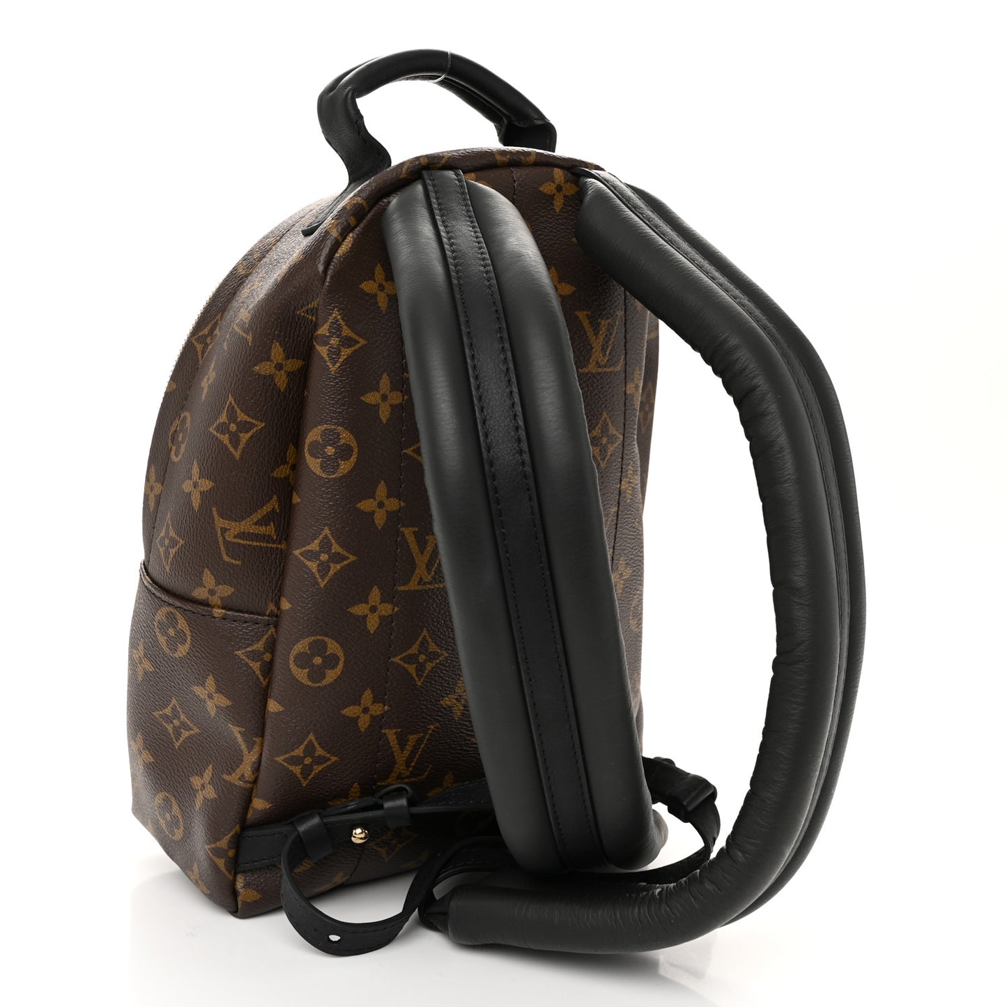 Monogram Palm Springs Backpack PM
