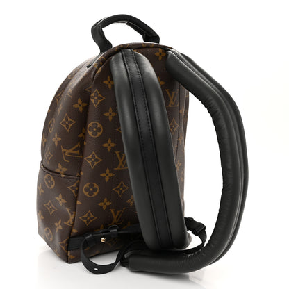 Louis Vuitton Monogram Palm Springs Backpack PM 3 of 10