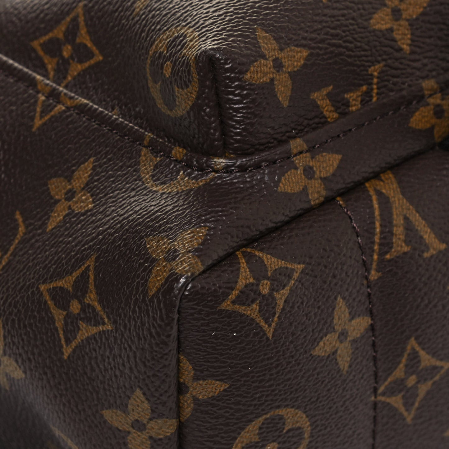 Monogram Palm Springs Backpack PM