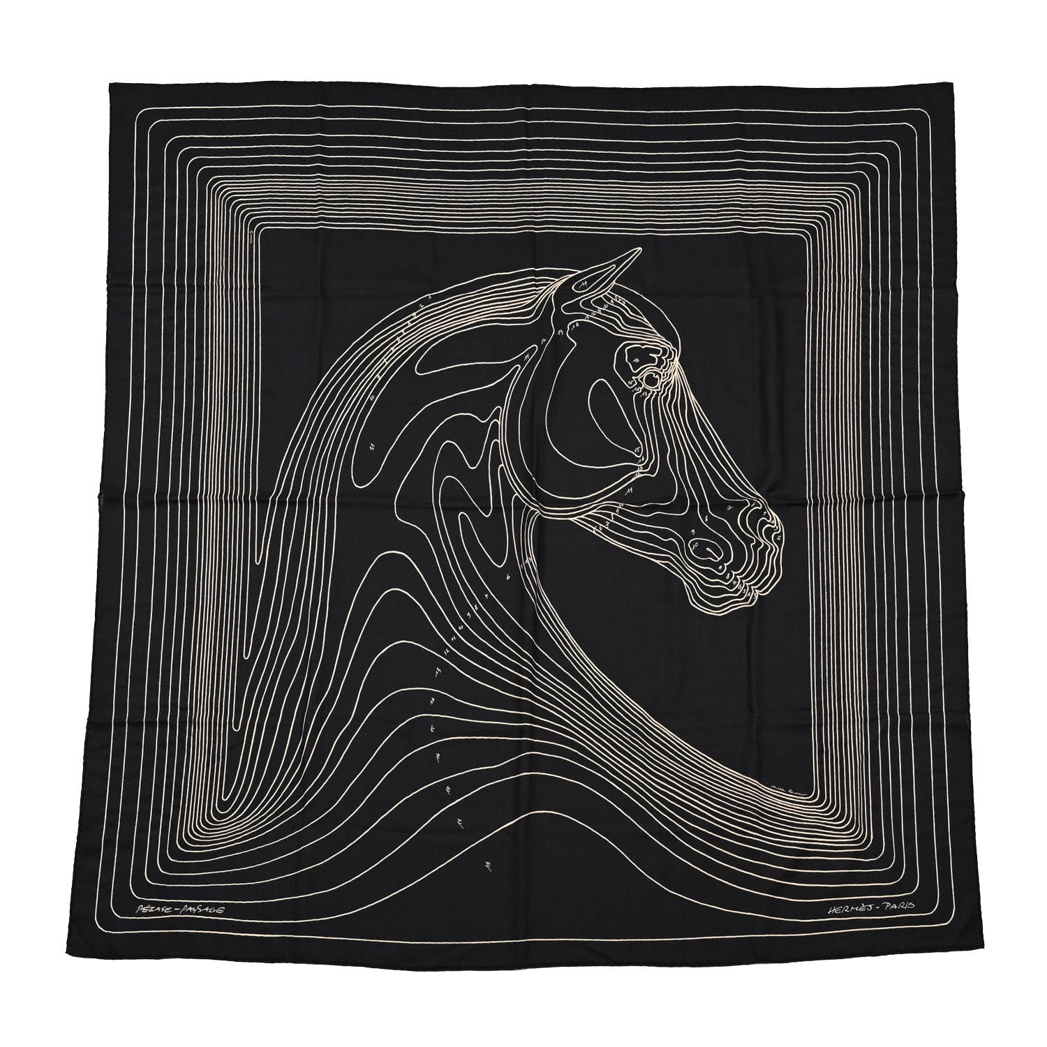 Hermes Cashmere Silk Pegase Paysage Shawl 140 Black Beige 1 of 5
