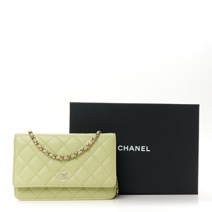 Chanel Lambskin Quilted Wallet On Chain WOC Light Green 12 of 12