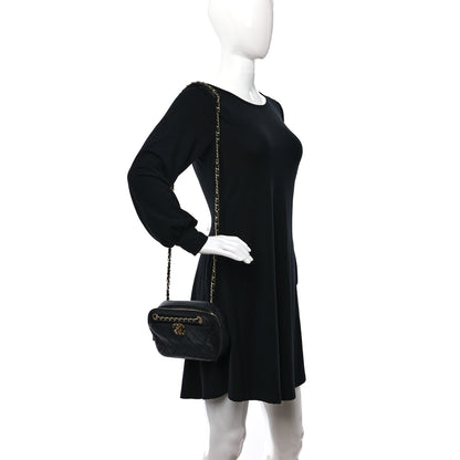 Chanel Goatskin Quilted Chanel 19 Camera Case Black 2 of 9