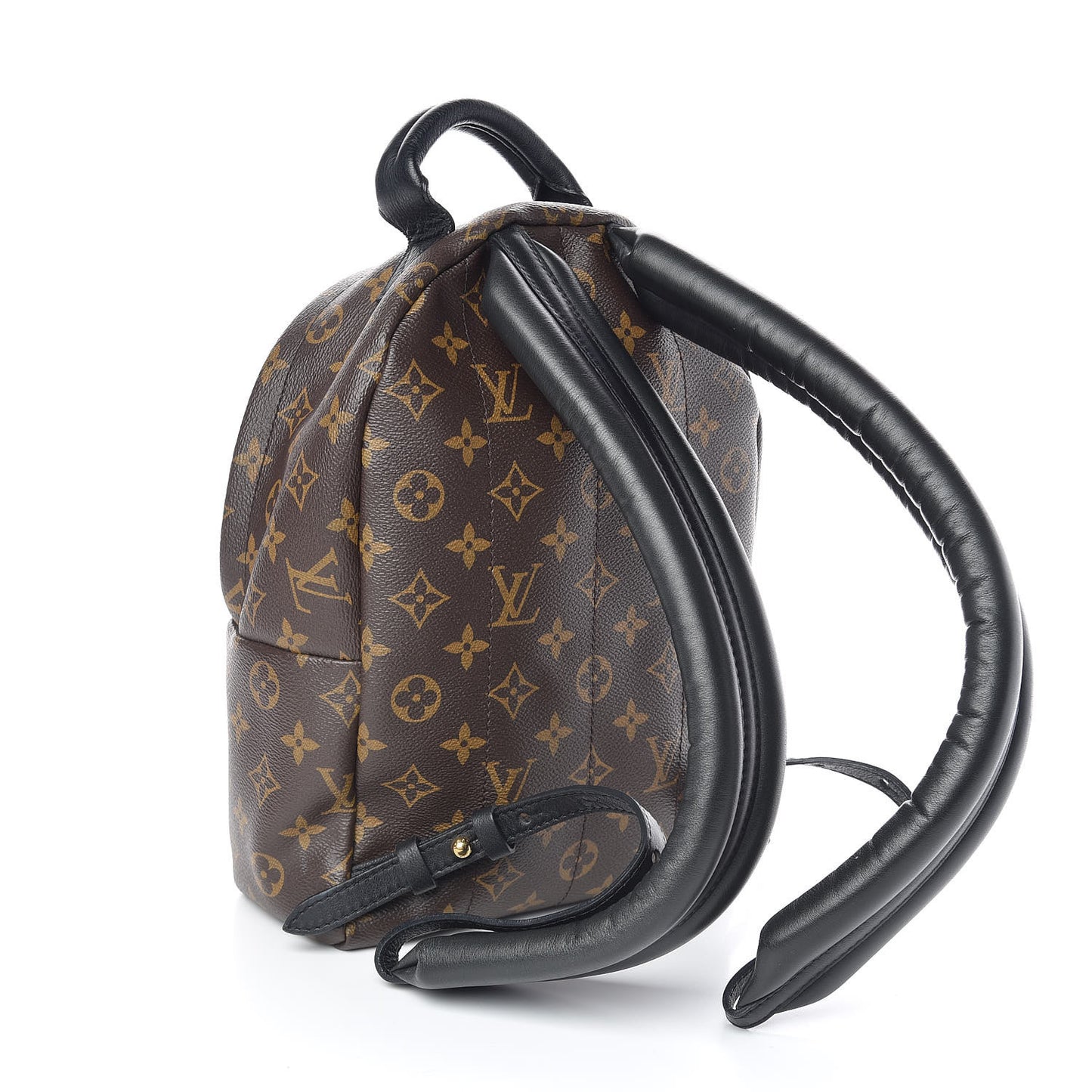 Monogram Palm Springs Backpack PM