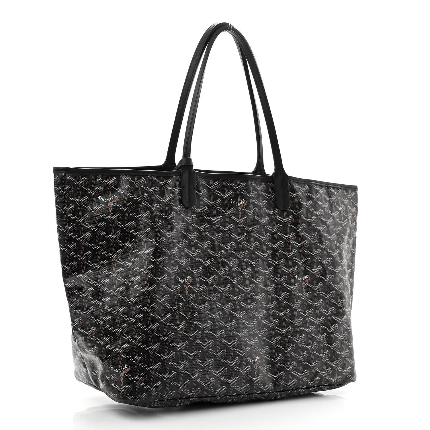 Goyard Goyardine Saint Louis PM Black 3 of 9