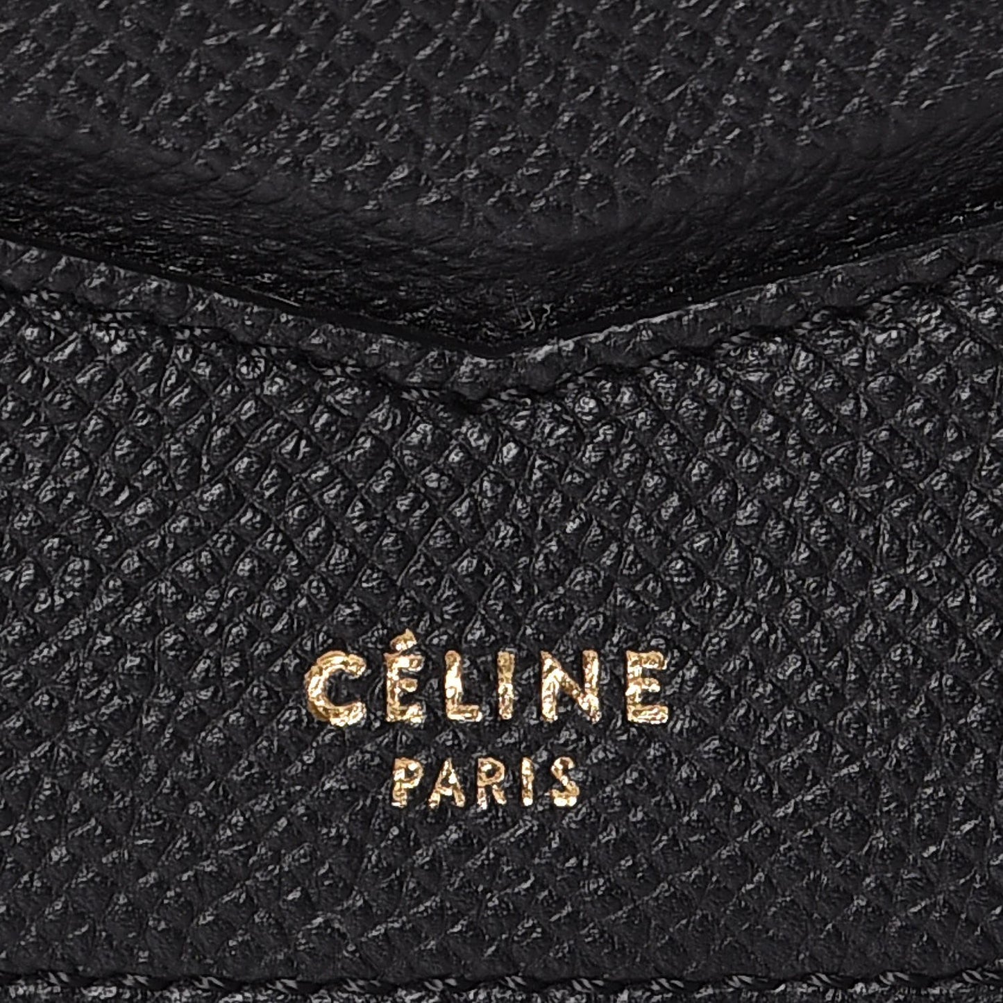 Grained Calfskin Medium Trotteur Black