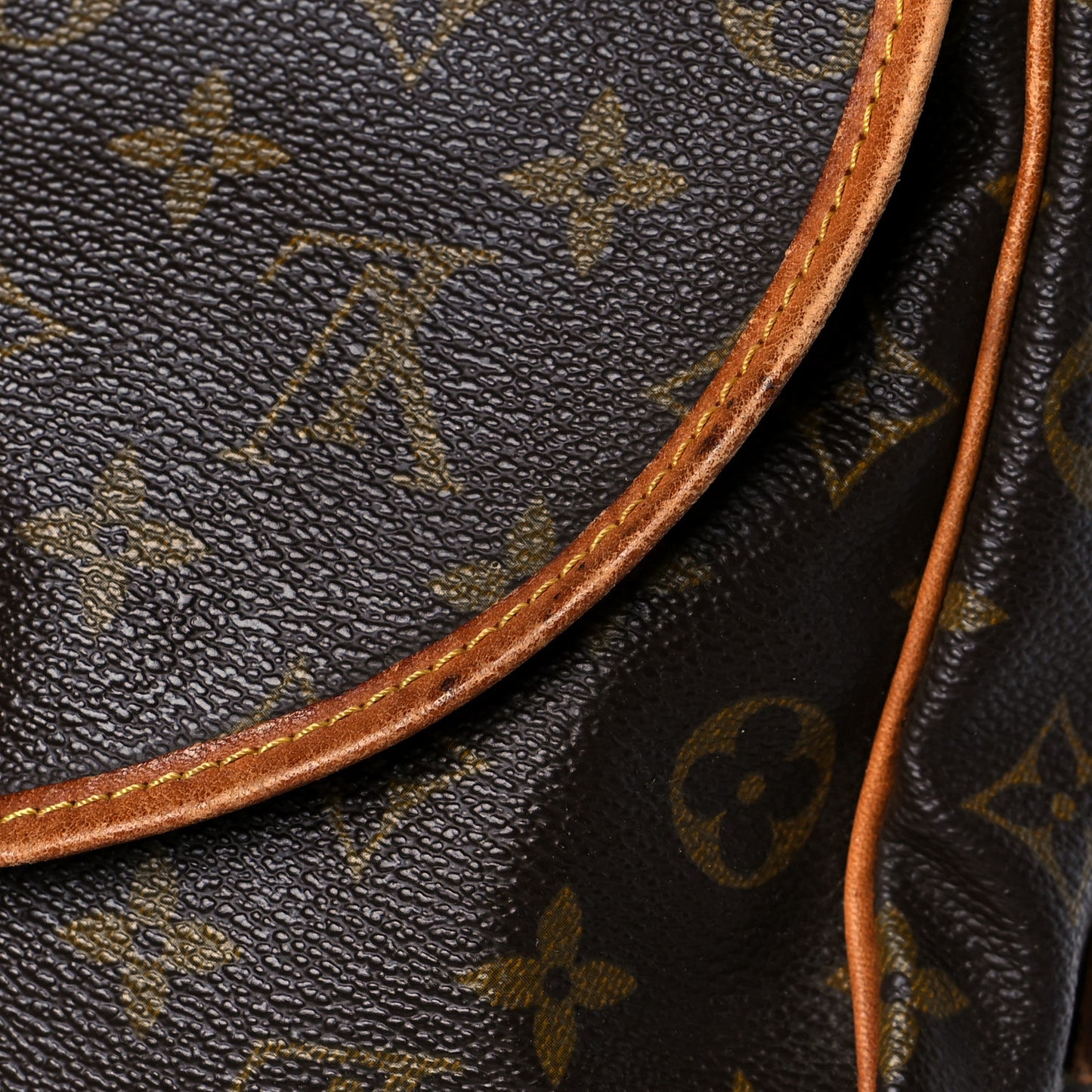Monogram Saumur 35