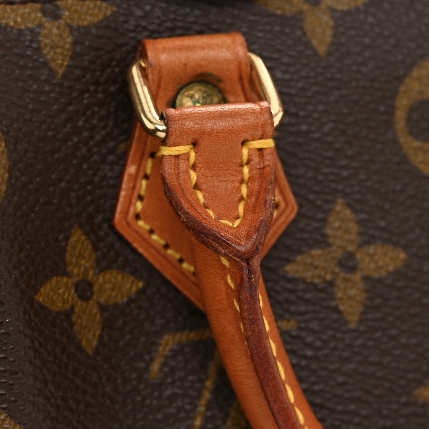 Monogram Mini Sac HL Speedy
