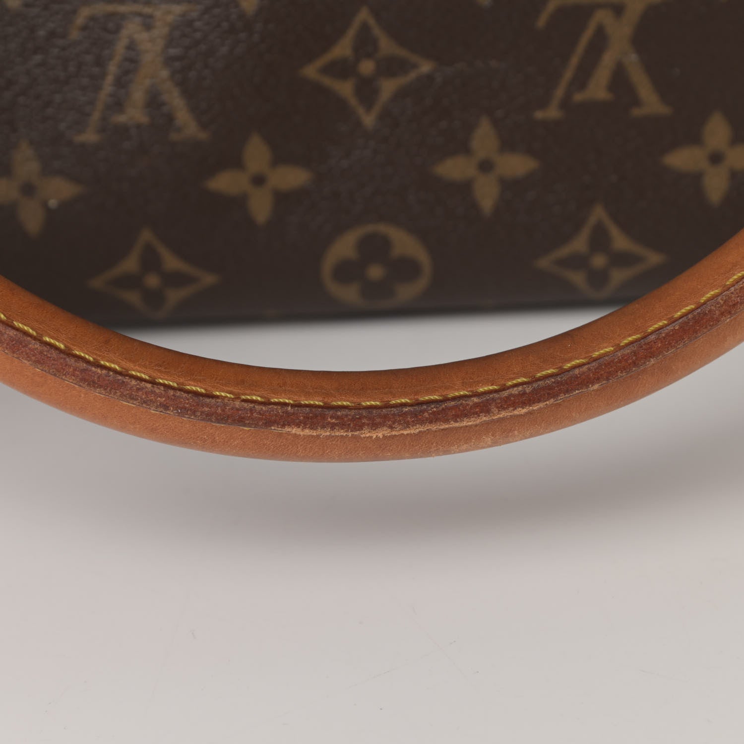 Louis Vuitton Monogram Sac Chien 50 Pet Carrier 17 of 21