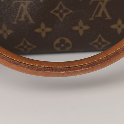 Louis Vuitton Monogram Sac Chien 50 Pet Carrier 17 of 21