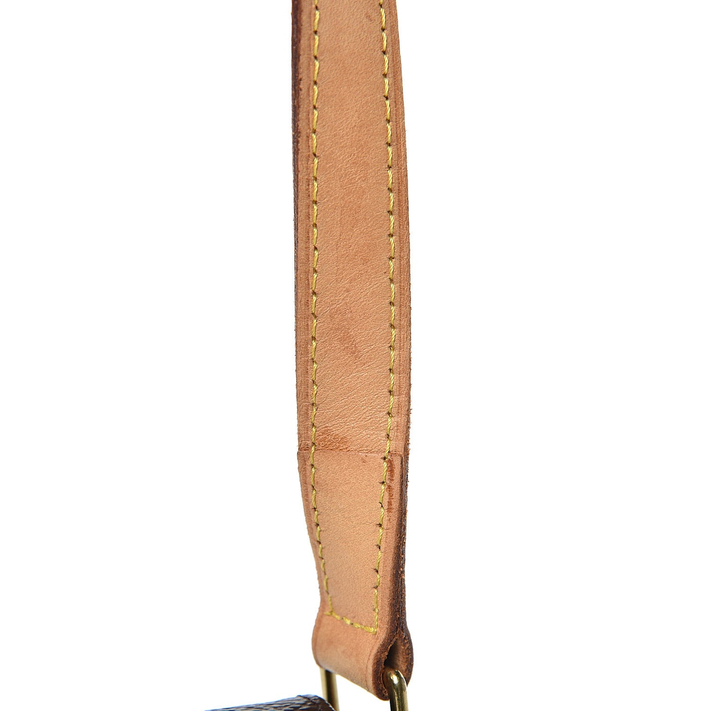 Monogram Musette Salsa