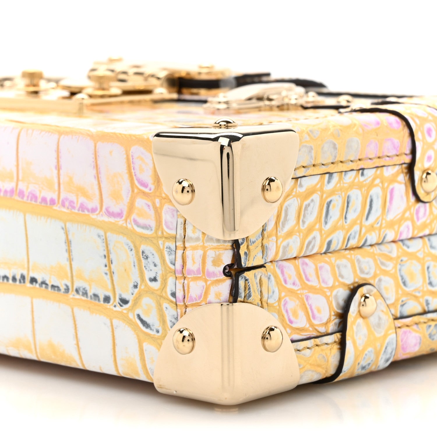 Louis Vuitton Alligator Royal Garden Petite Malle 8 of 10