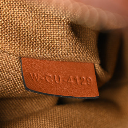 Celine Triomphe Canvas Small Camera Bag Tan 7 of 11