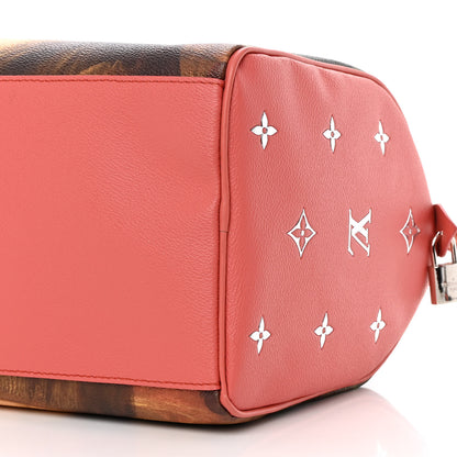 Louis Vuitton Masters Da Vinci Speedy 30 11 of 18