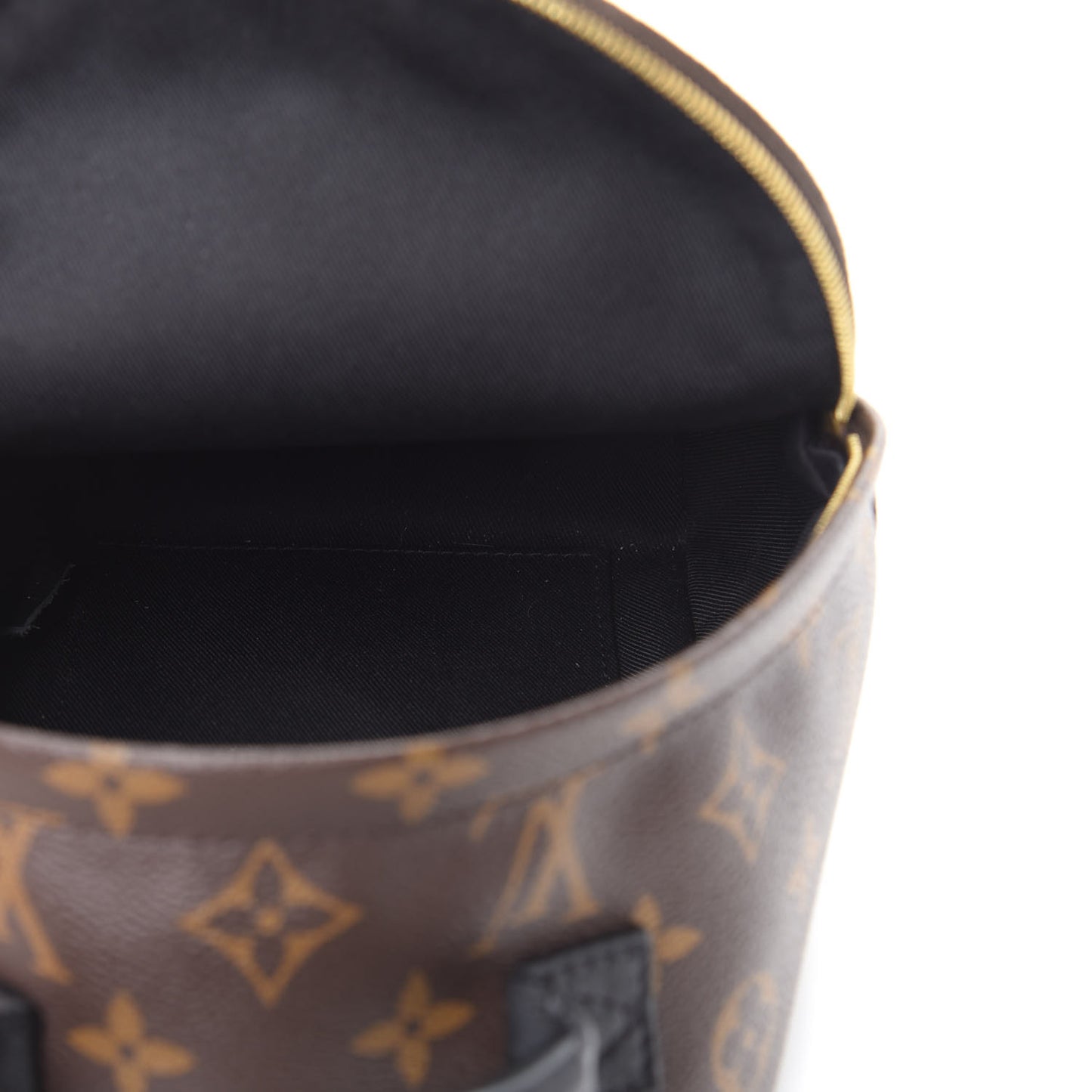 Monogram Palm Springs Backpack Mini