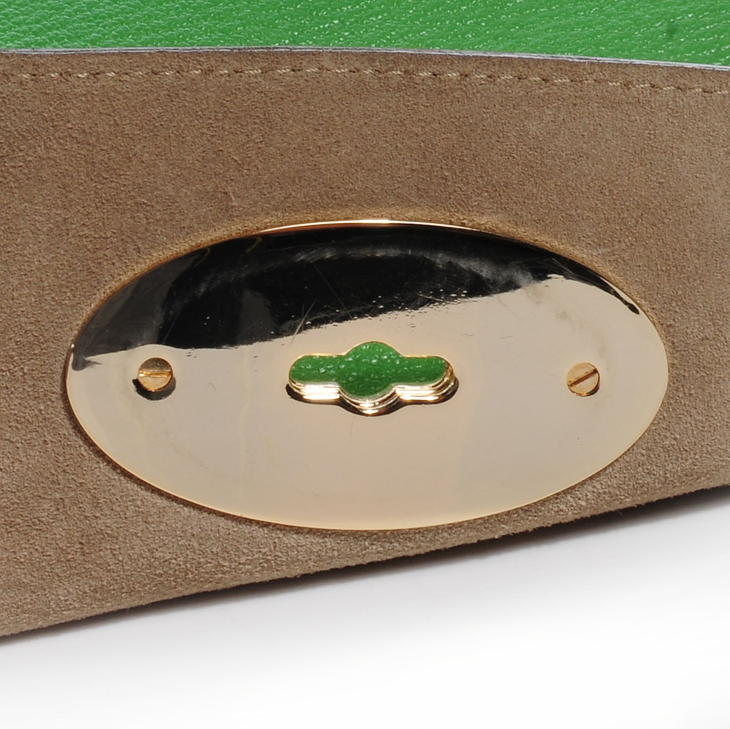 Mulberry Goatskin Bayswater Grass Green 8 of 10