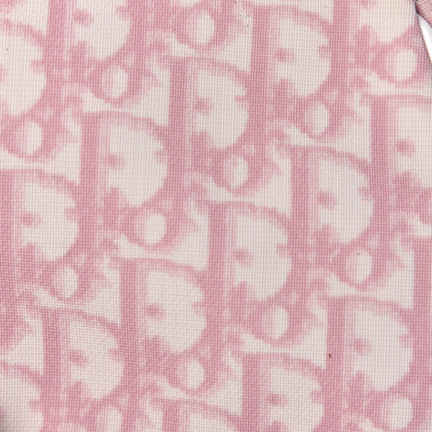 Monogram Mini Saddle Pochette Pink