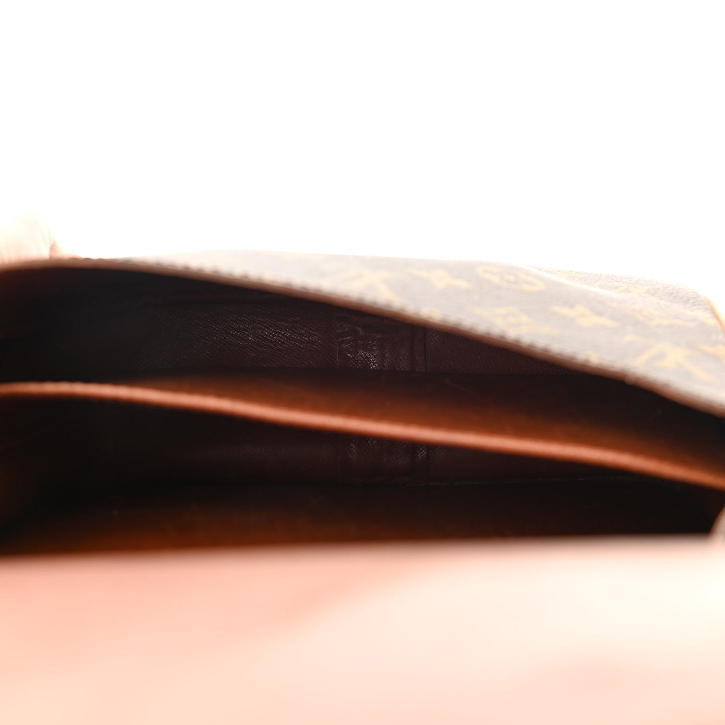 Monogram Cartouchiere 22