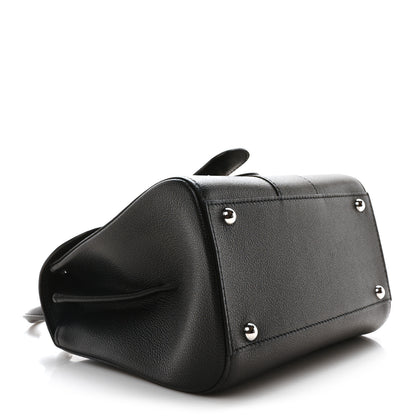 Delvaux Grained Rodeo Calfskin Mini Brillant Black 4 of 10