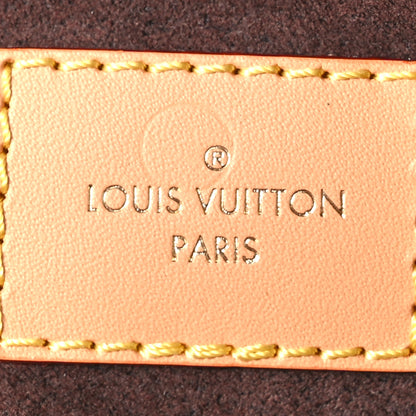 Louis Vuitton Monogram Mini Bumbag 6 of 9