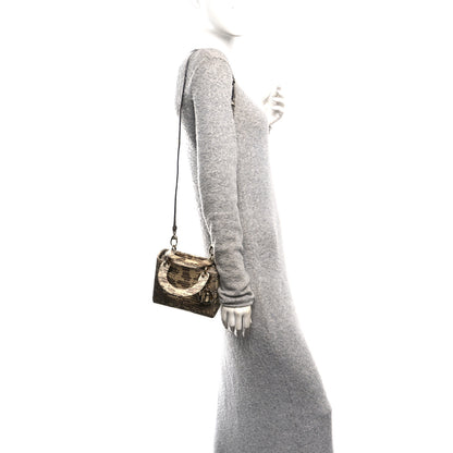 Christian Dior Lizard Ombre Mini Lady Dior 2 of 10