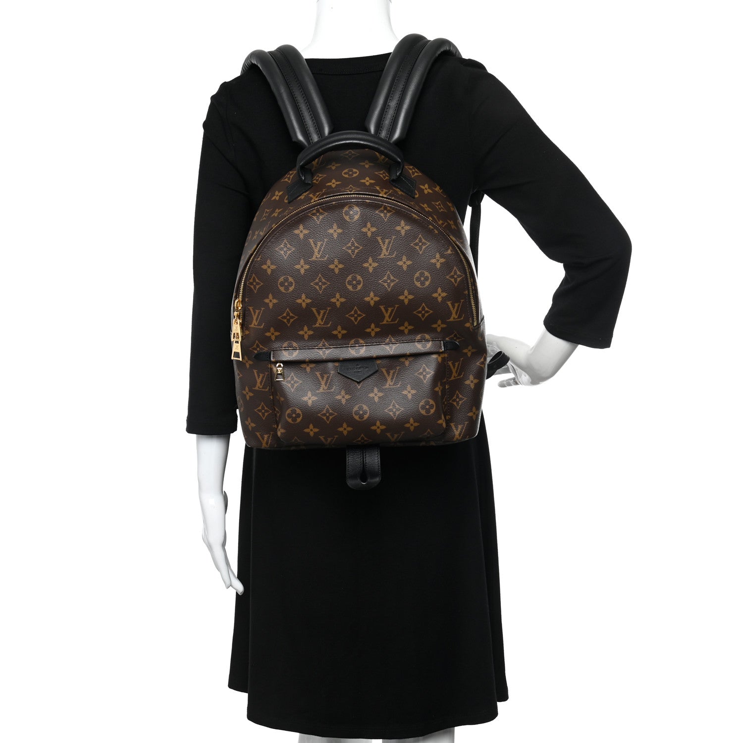 Louis Vuitton Monogram Palm Springs Backpack MM 2 of 11