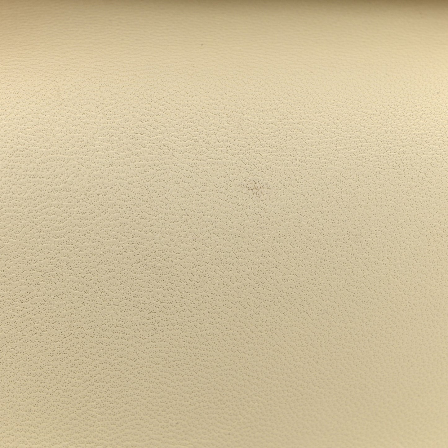 Lambskin Cannage Mini Lady Dior White