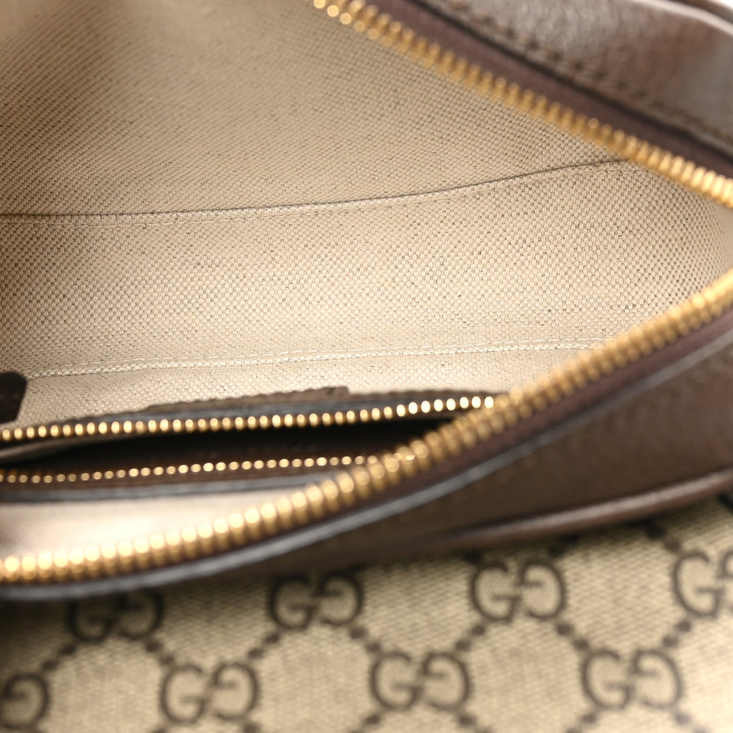 GG Supreme Monogram Textured Dollar Calfskin Mini Ophidia Flap Shoulder Bag Beige Ebony New Acero