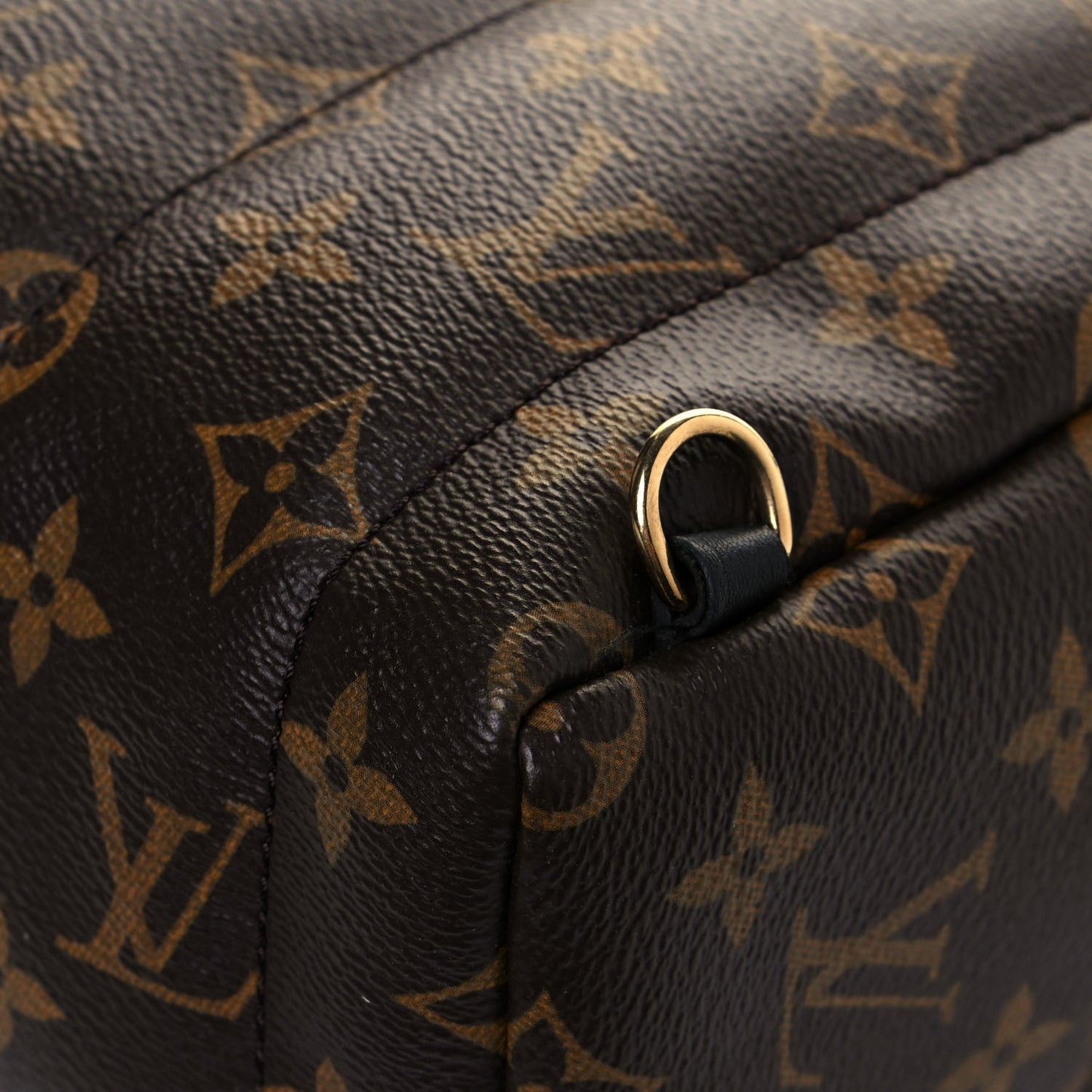 Monogram Palm Springs Backpack Mini